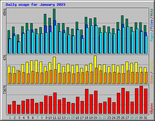Daily usage for January 2023