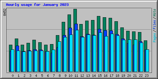 Hourly usage for January 2023