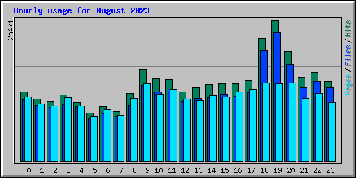 Hourly usage for August 2023