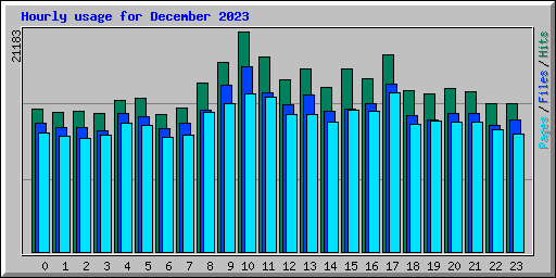 Hourly usage for December 2023
