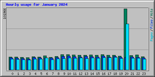 Hourly usage for January 2024