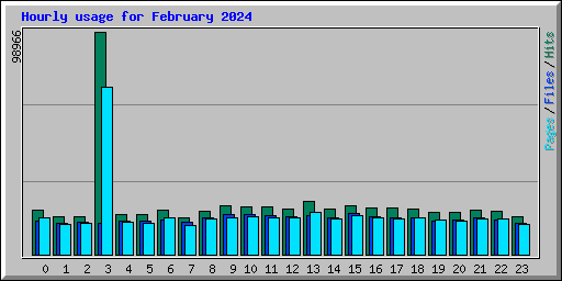 Hourly usage for February 2024