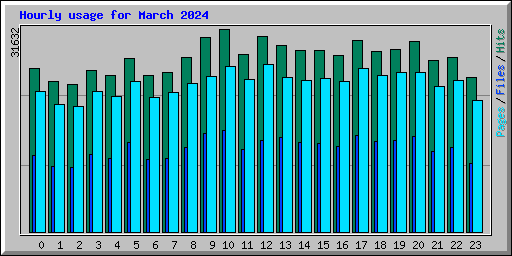 Hourly usage for March 2024