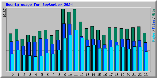 Hourly usage for September 2024