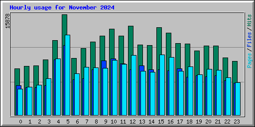 Hourly usage for November 2024