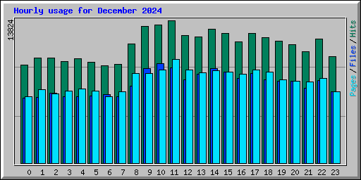 Hourly usage for December 2024