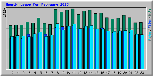 Hourly usage for February 2025