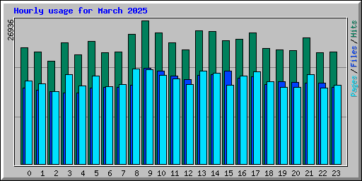 Hourly usage for March 2025