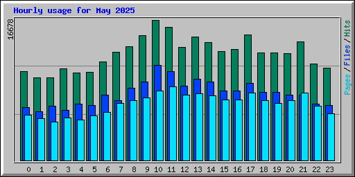 Hourly usage for May 2025