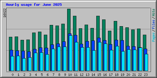 Hourly usage for June 2025