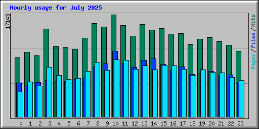 Hourly usage for July 2025