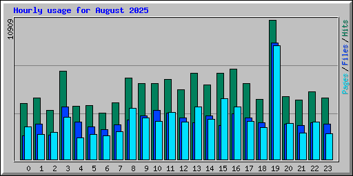 Hourly usage for August 2025